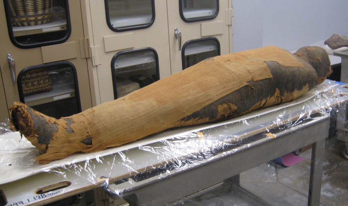 Mummy, after conservation showing the cartonnage elements in place