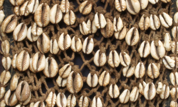 Cowrie Shells