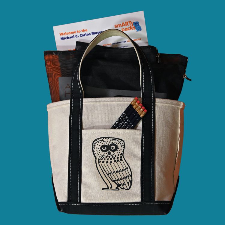 Image of a SmARTy Pack activity bag featuring three hands on activities in a canvas bag with an owl on it.