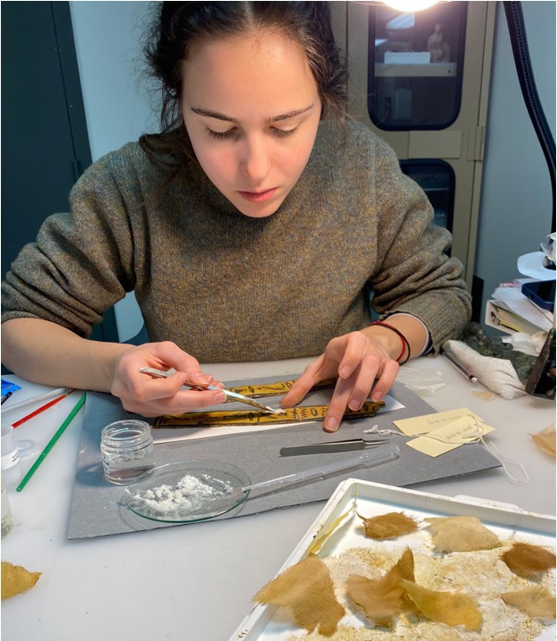 Intern Ludovica Staderini shown sitting at the table in a lab with an instrument in her hand cleaning an object 