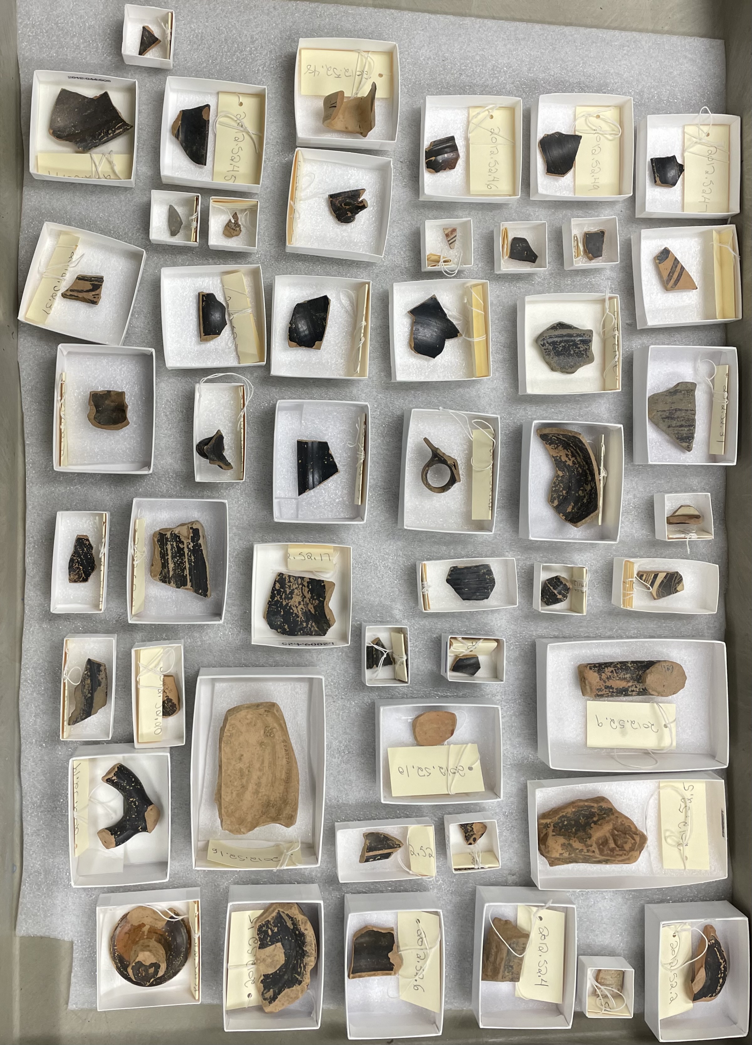 pottery sherds shown in boxes on a cart