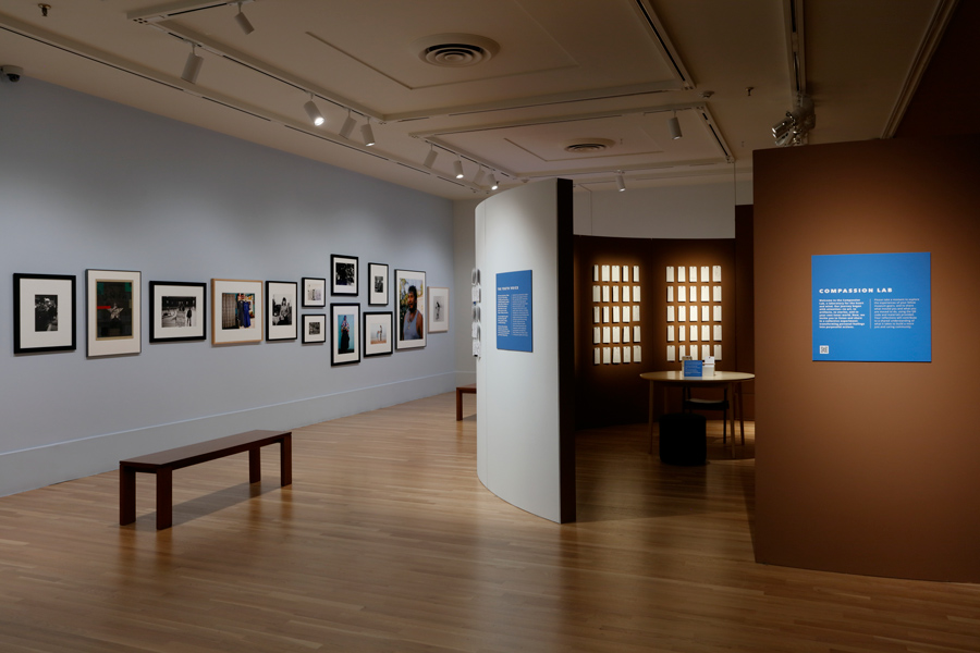 Compassion Installation showing gallery wall and lab space