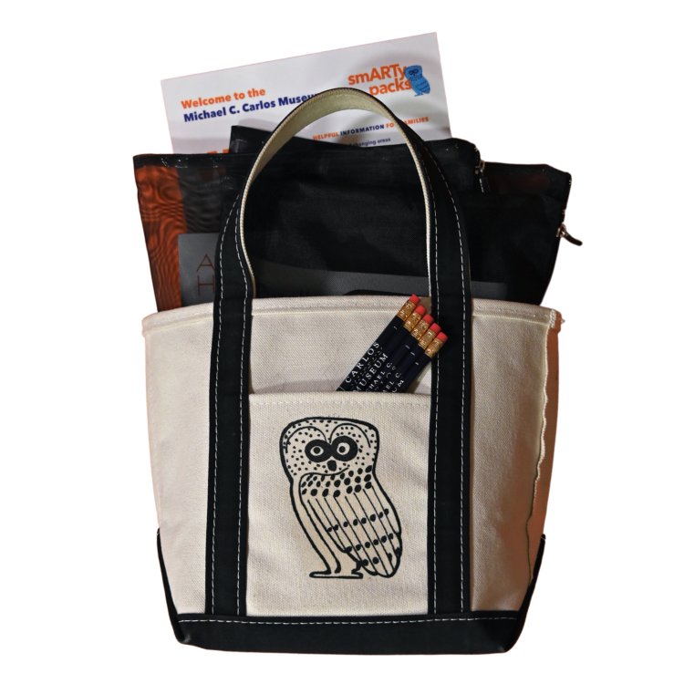 SmARTy Pack bag with owl on the front with activity bags coming out of the top of the bag
