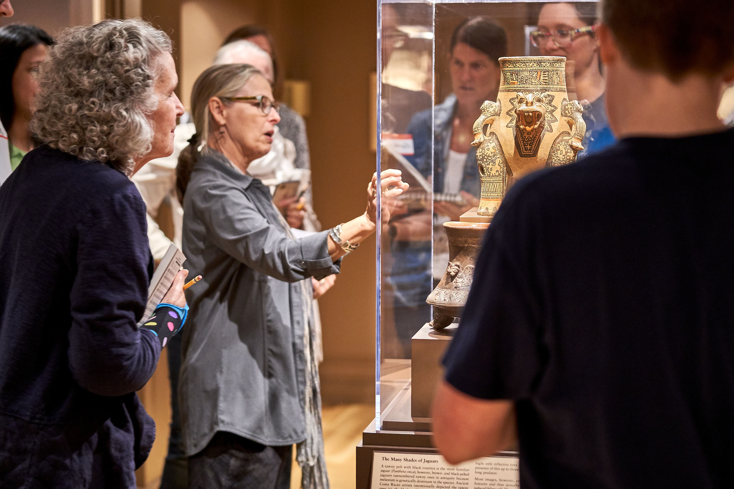 Public Tours Emory Michael C. Carlos Museum