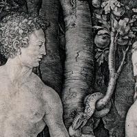 Adam and Eve by Durer