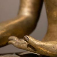 Hand of the Shakyamuni Buddha
