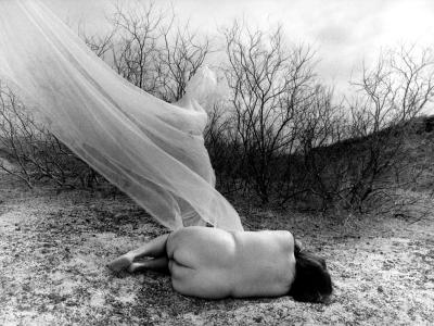 Black and white photograph. The image is of a natural landscape. In the center of the middle ground there is a nude figure laying, curled up on the ground. The figure's backside is facing the viewer. There is an ephemeral tulle, see-through curtain floating above the figure and moving to the left top corner of the image.