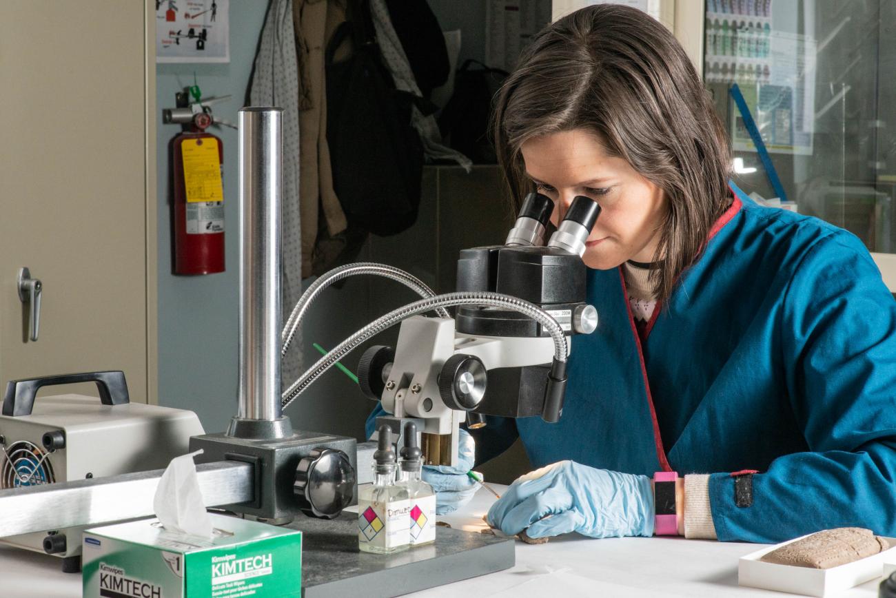 Brittany microscope