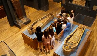 Docent guides students in the Egyptian gallery
